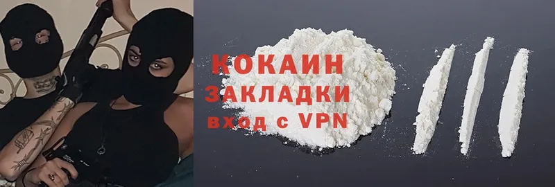 COCAIN Fish Scale  как найти закладки  Красноярск 