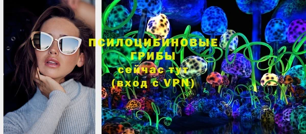 тгк Новодвинск