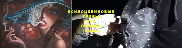 мяу мяу мука Нея