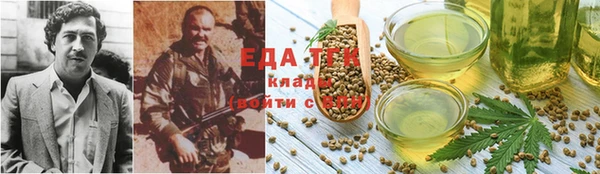 тгк Новодвинск