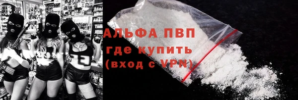 тгк Новодвинск