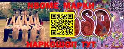 ешки Гай