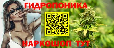ешки Гай
