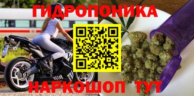 прущие крисы Гагарин