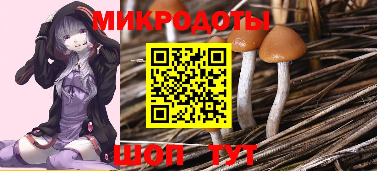 Псилоцибиновые грибы Magic Shrooms  Вход с VPN  Красноярск 
