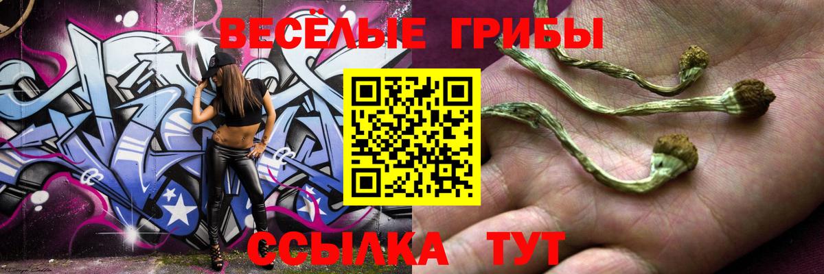 Галлюциногенные грибы Cubensis Красноярск